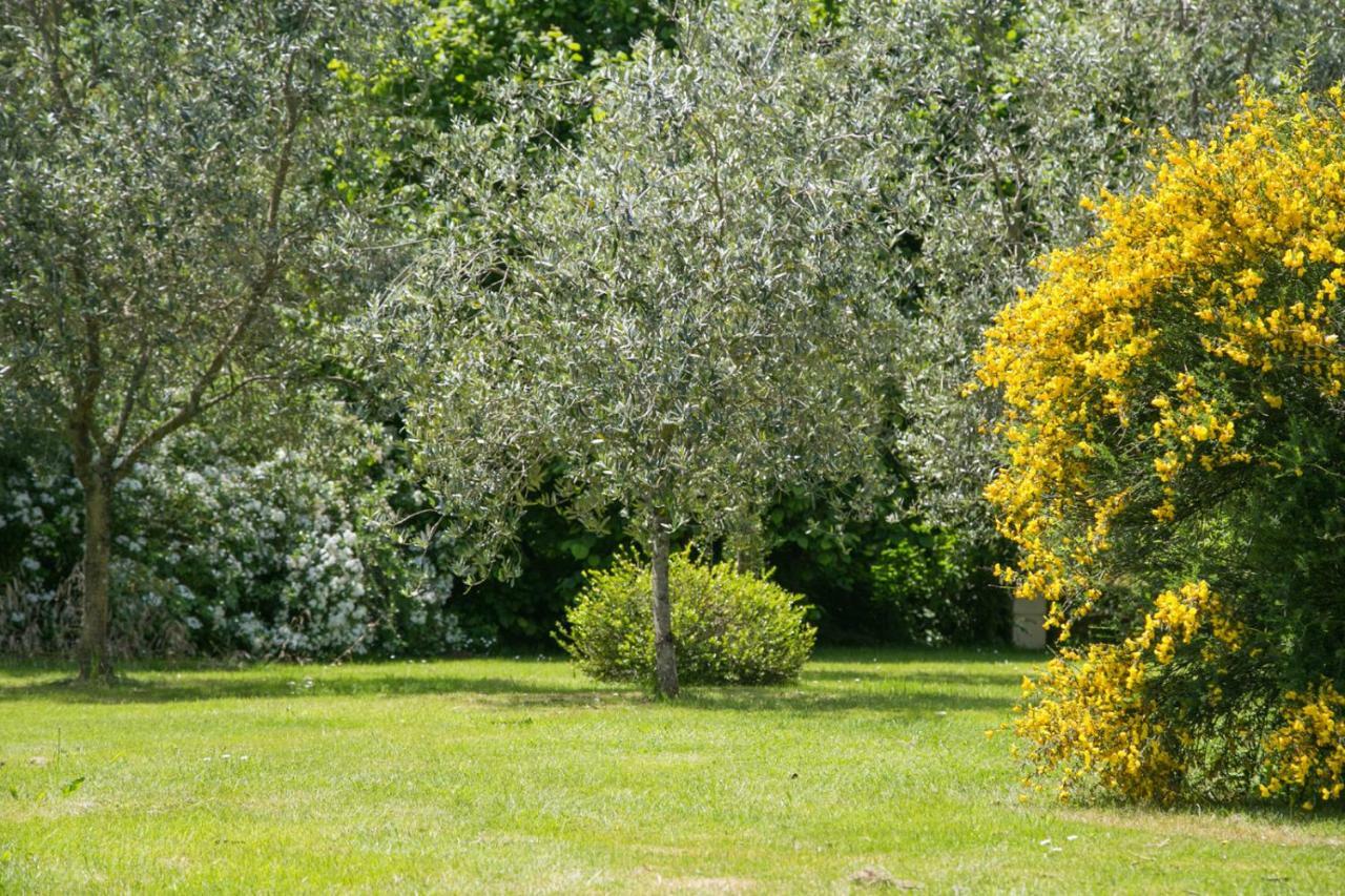 Les Dames De Nage Bed and Breakfast Grand-Champ Εξωτερικό φωτογραφία
